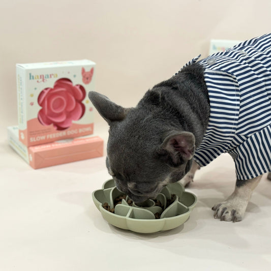 Rose-Shaped Silicone Pet Slow Feeder Bowl 🌹 Rose Quartz Pink