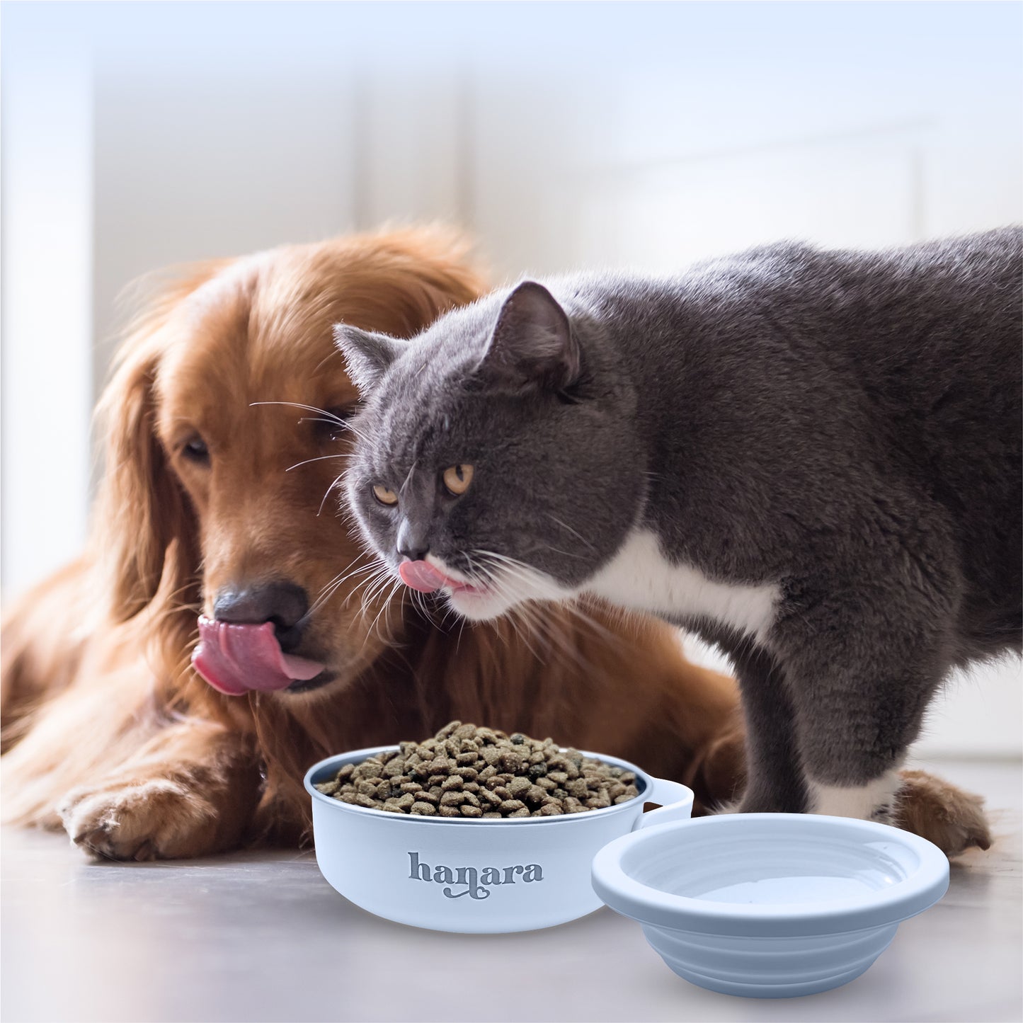 2-in-1 Insulated Stainless Steel Dog Bowl with Extra Collapsible Lid and Handle for Dog Cat Pet | Non Slip Rubber Bottom | Portable, Great for Indoor, Outdoor| 30 OZ (Plus 20 oz) (Blue)