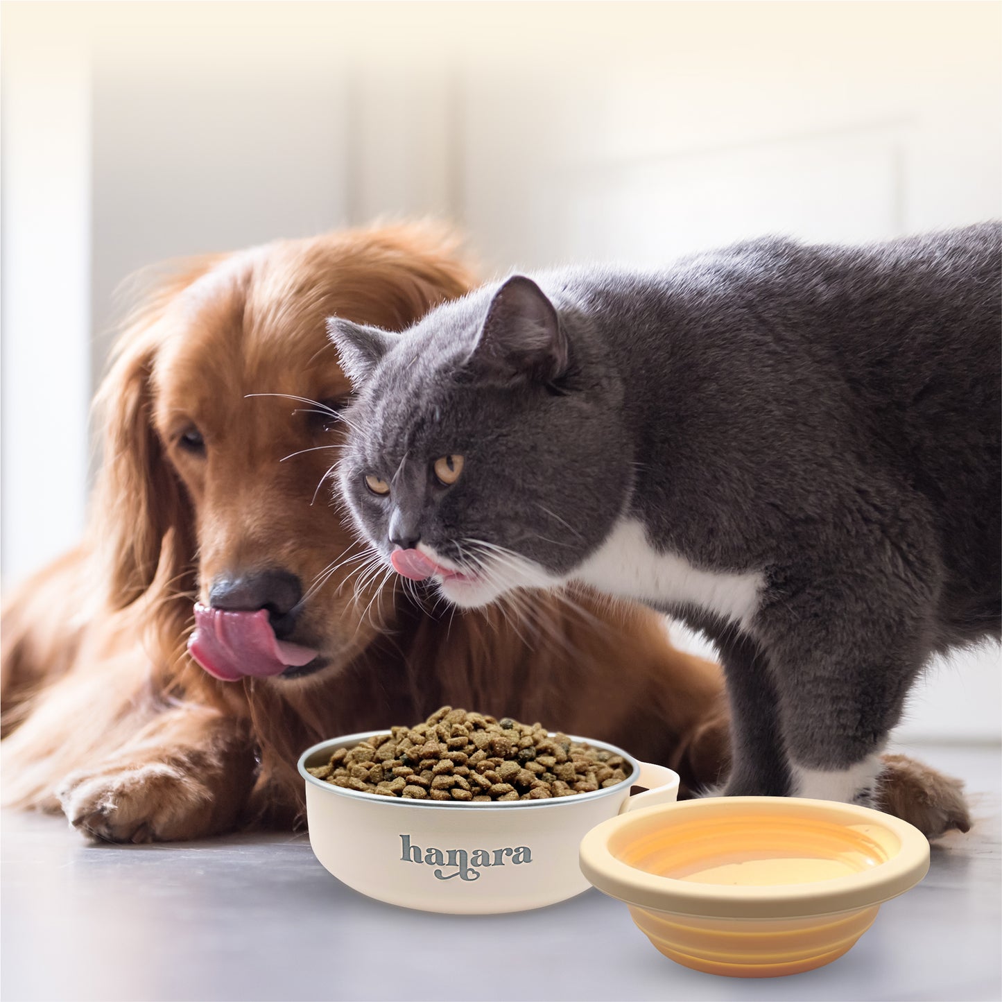 2-in-1 Insulated Stainless Steel Dog Bowl with Extra Collapsible Lid and Handle for Dog Cat Pet | Non Slip Rubber Bottom | Portable, Great for Indoor, Outdoor| 30 OZ (Plus 20 oz) (Beige)