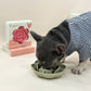 Rose-Shaped Silicone Pet Slow Feeder Bowl 🌹 Sage Green